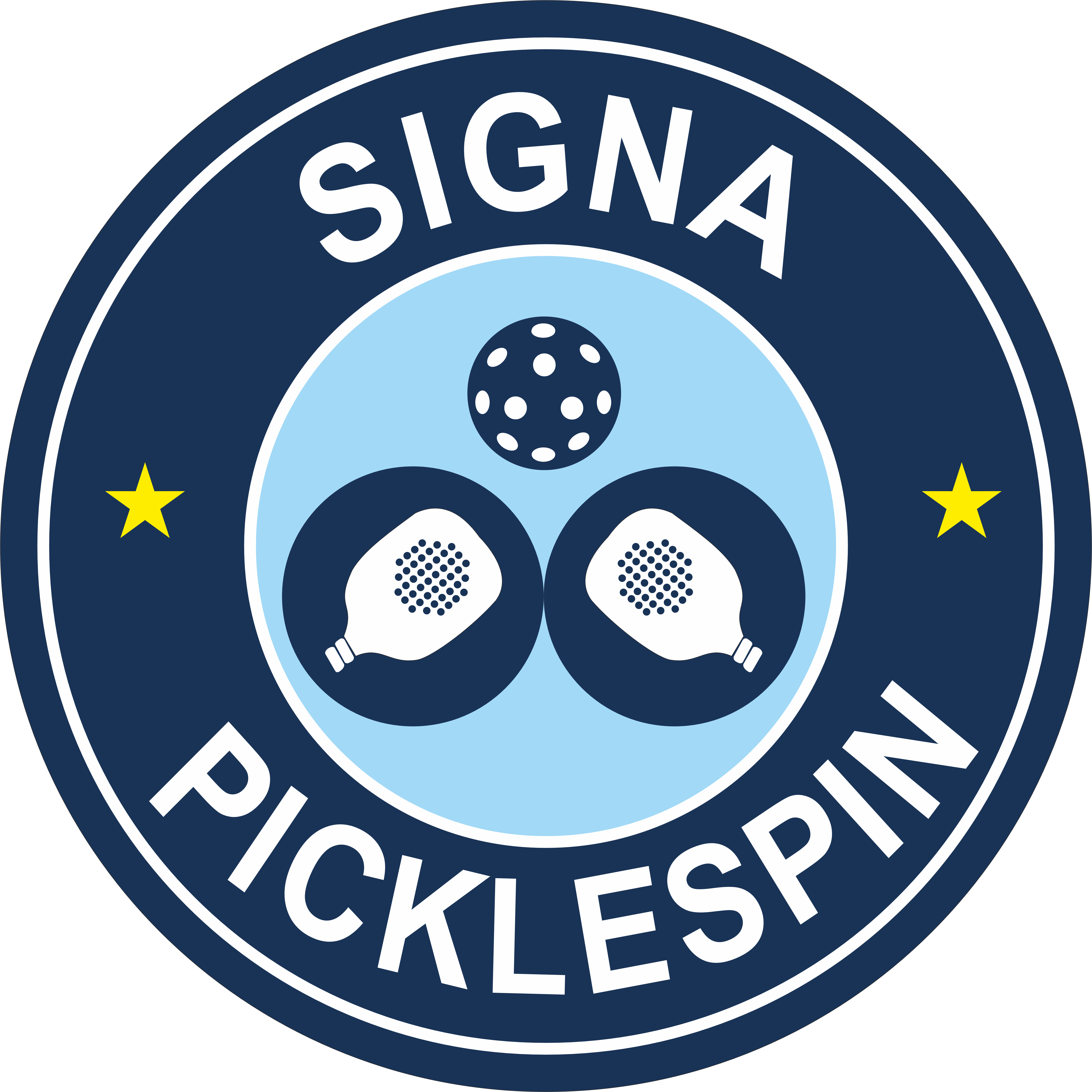 Signa Picklespin — brand design client